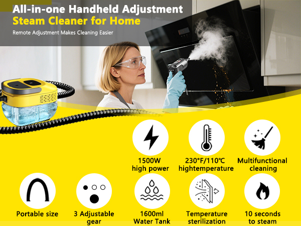 steam cleaner for home