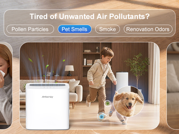 Air purifiers for home pets