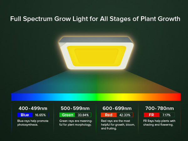 plant light bulb