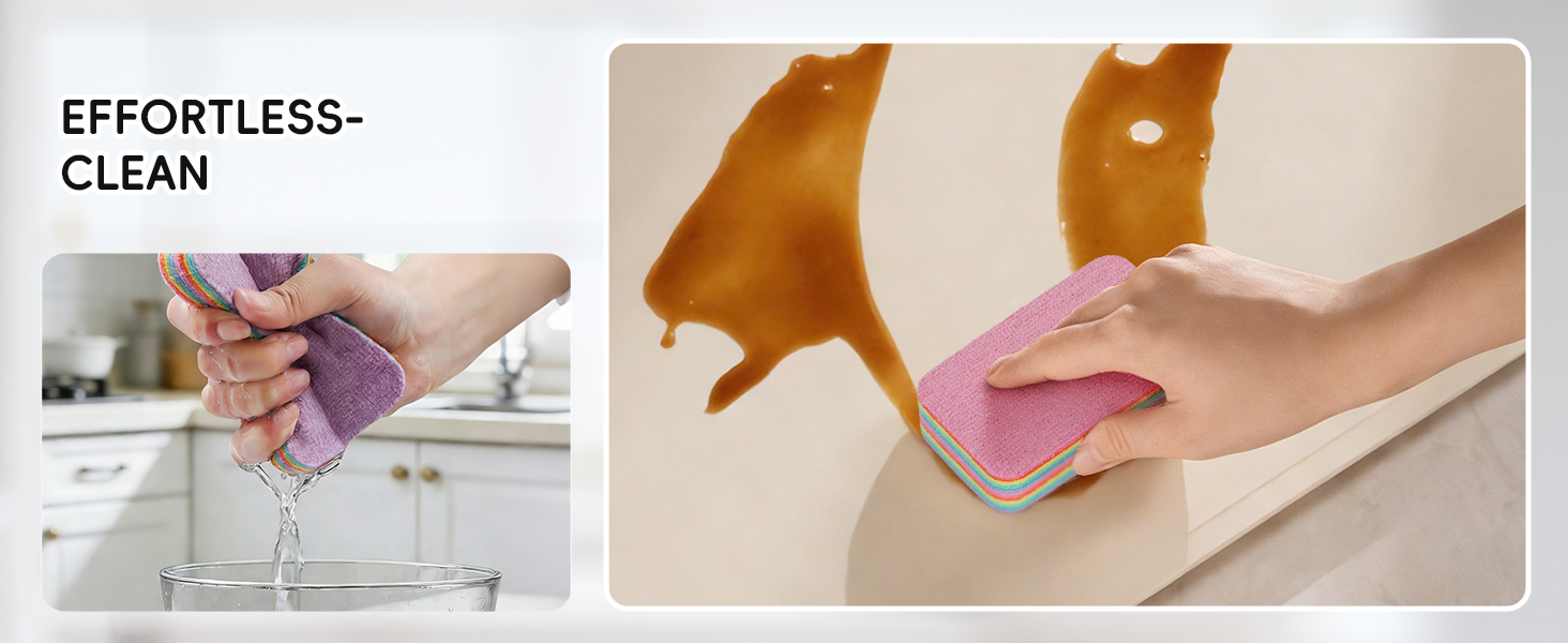Kitchen Sponges