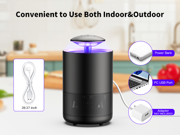 gnats trap bedroom