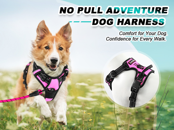 dog harness medium no pull dog harness small breed puppy harness dog leashes for extra small dogs