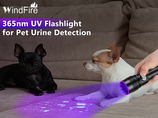 ultra violet uv light