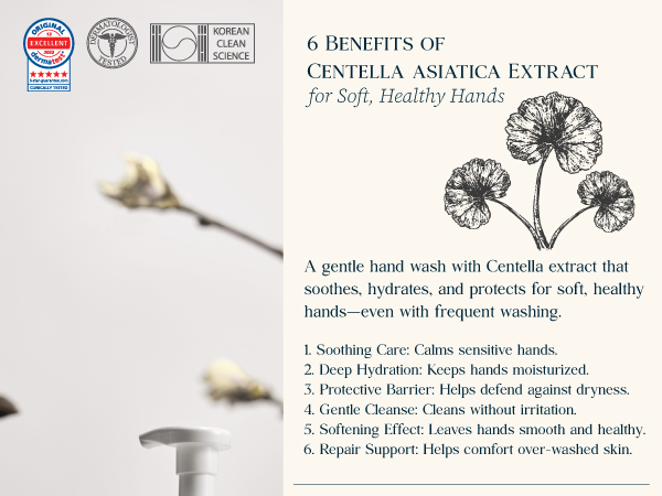 6 Benefits of Centella asiatica Extract for Soft, Healthy Hands