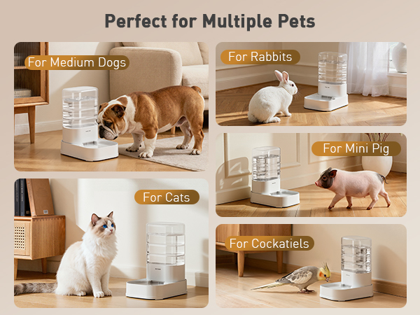 gravity water bowl for dogs