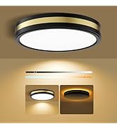 18 Inch Flush Mount Ceiling Light with Night Light, 5CCT Dimmable Ceiling Light Fixture, 2700K-65...