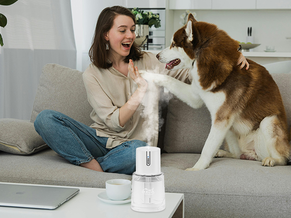 Waterless Essential Oil Diffuser