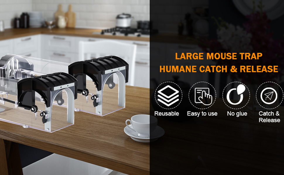 Humane Mouse Traps, 12 inches Enlarged No Kill Rat Live Traps
