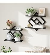 ELYKEN Floating Shelves for Wall, Set of 2 Hanging Shelves, 2-Tier Wall Mounted Storage Shelves f...