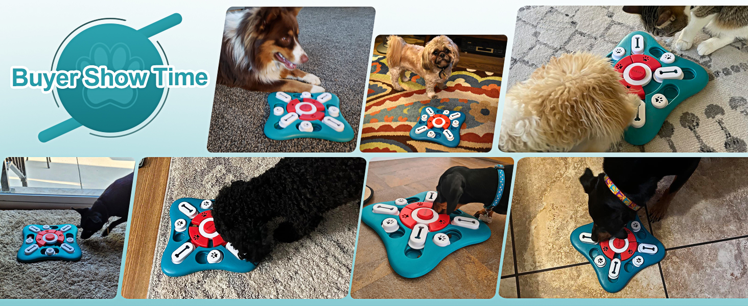dog puzzle toys