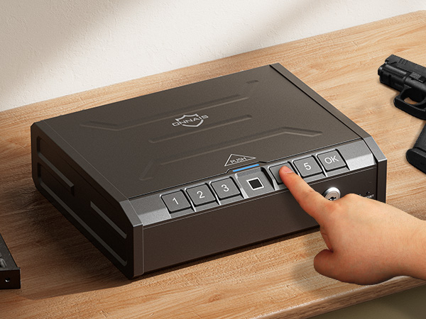 password gun safe