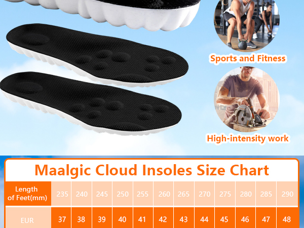 shoe insole