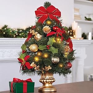Decorate trees with the lights 