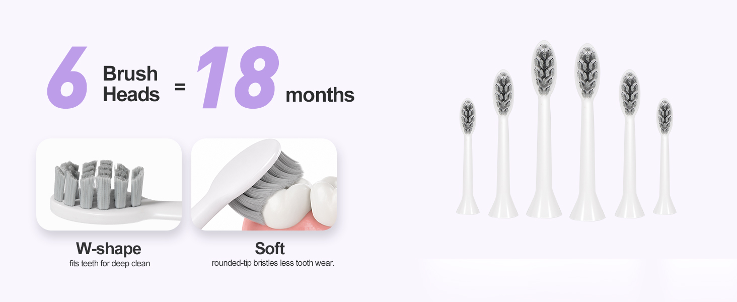 6 brush heads electric toothbrush
