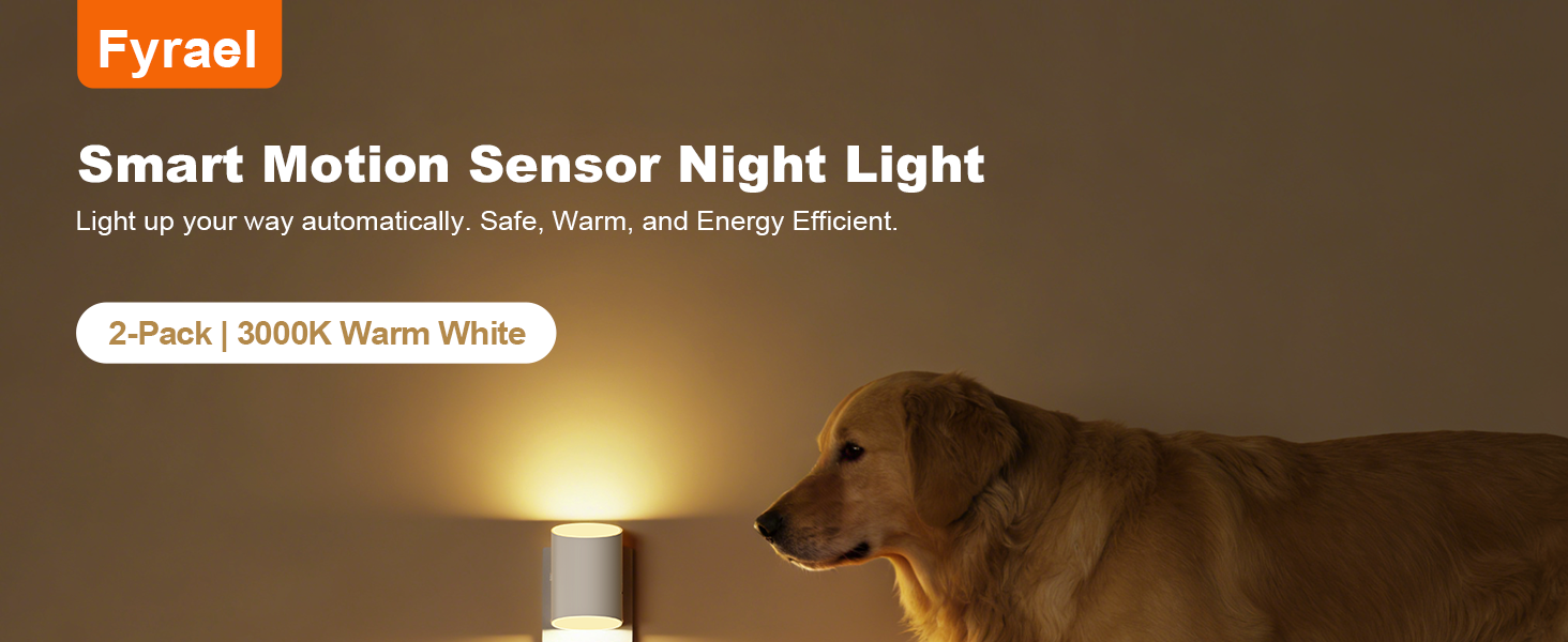 Smart Motion Sensor Night Light
