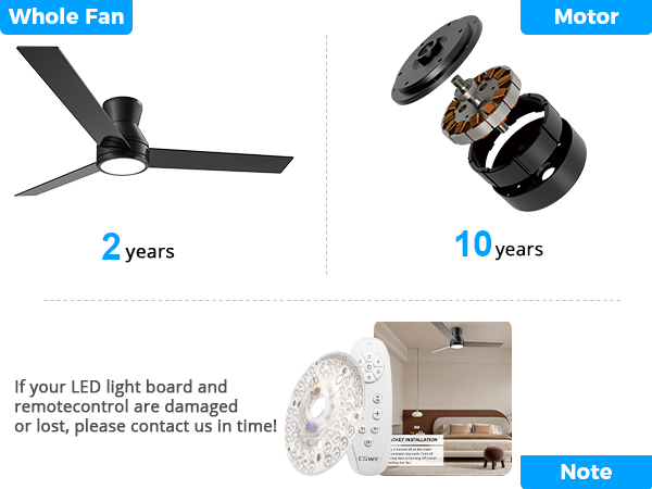 Ceiling Fans with Lights
