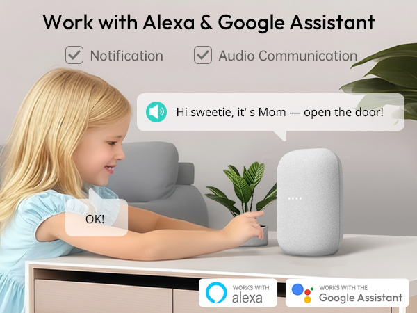 Alexa &amp;amp; Googel Assistant