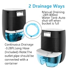 Dehumidifiers for Home