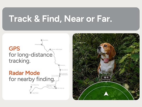 Dog &amp;amp; Cat GPS Tracker