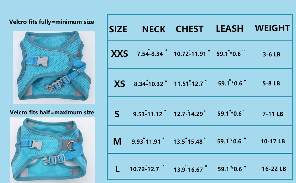 XXS dog harness