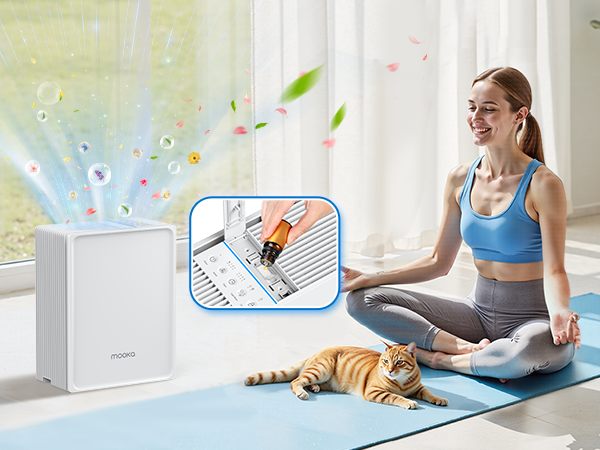 air purifiers for home