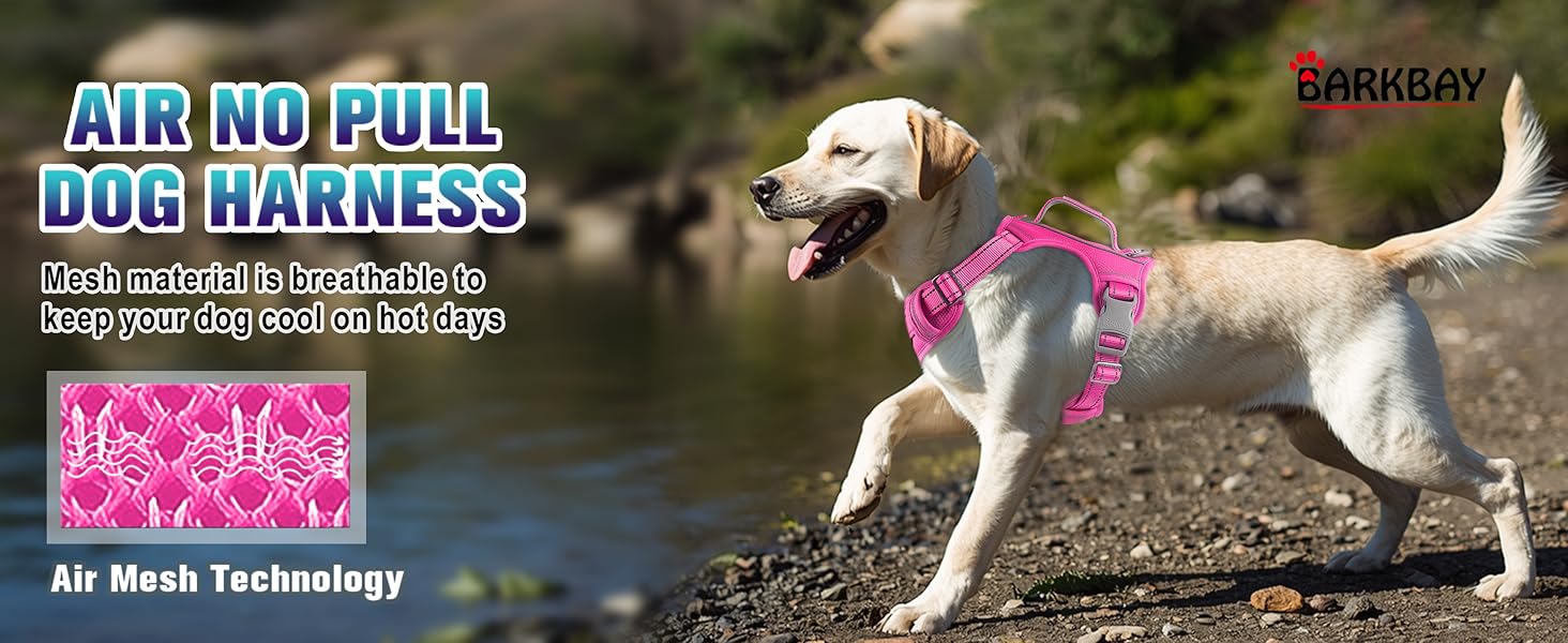 Dog wearing a no pull dog harness dog harness medium sized dog pink dog harness for large dogs