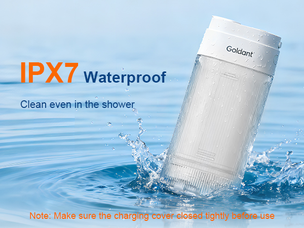 portable water flosser