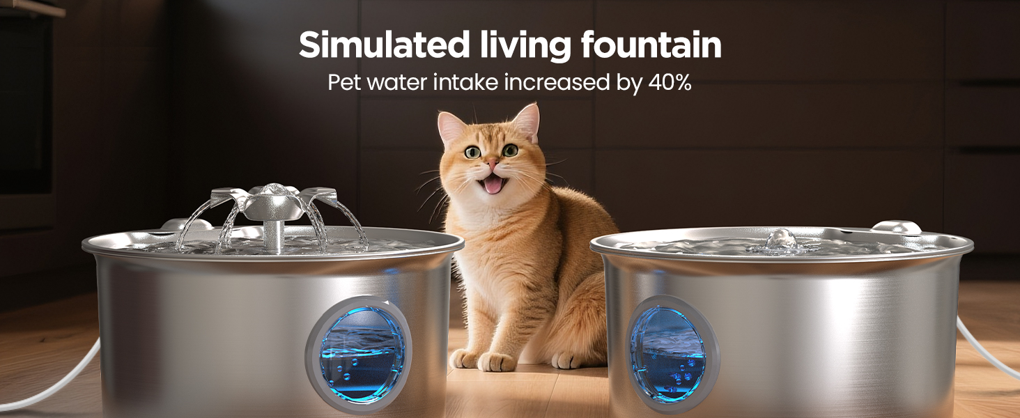cat water fountain with filter