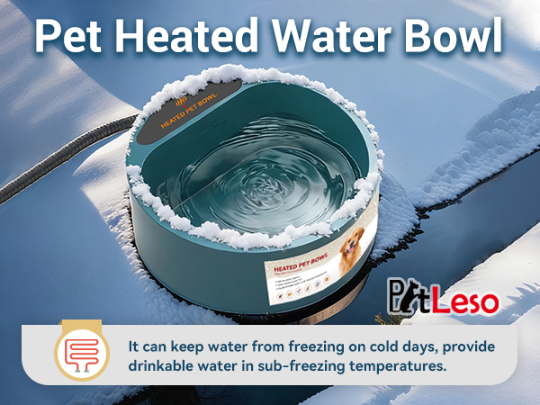 dog heating bowl