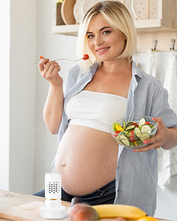 cudinham fruit and vegetable washing machine