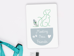 milestone forever baby month signs boy by for age cards monthly milestones one sign markers babies 