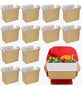 ZAVOOS 12 Pack Insulated Shipping Box, 10.8'' x 7.3'' x 6.5'' Cold Shipping Boxes with Aluminium ...