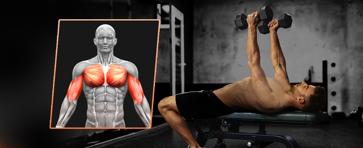 Rubber Encased Exercise &amp; Fitness Hex Dumbbell