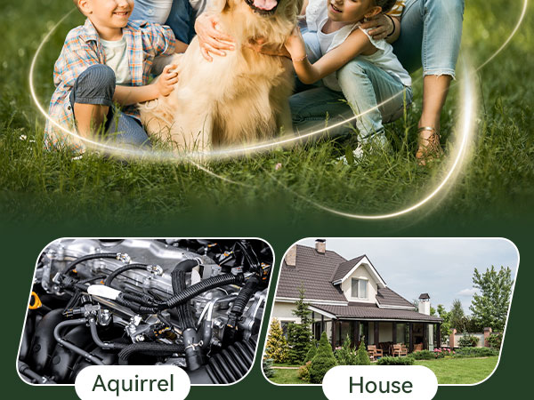 rodent repellent