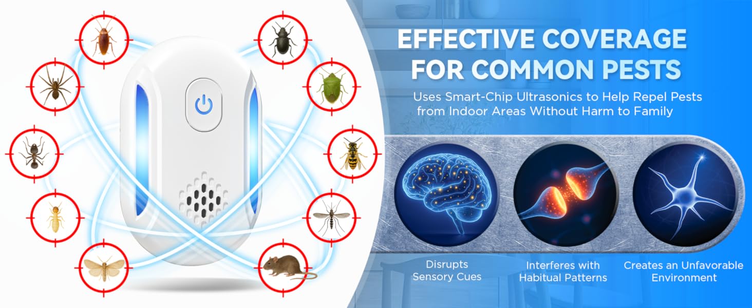 Functional upgrades in 2026
