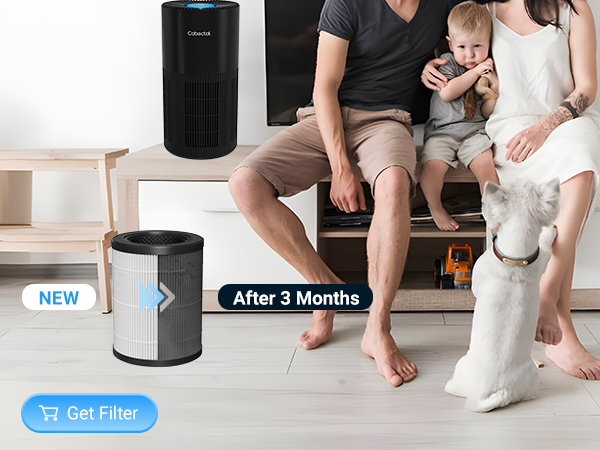 Home Air Purifier