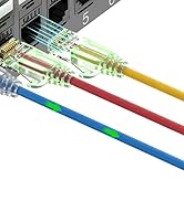 patch panel cat6
