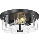 FEMILA Black Flower Flush Mount Ceiling Light, 12" Ceiling Light Fixtures for Kitchen Island, Bed...