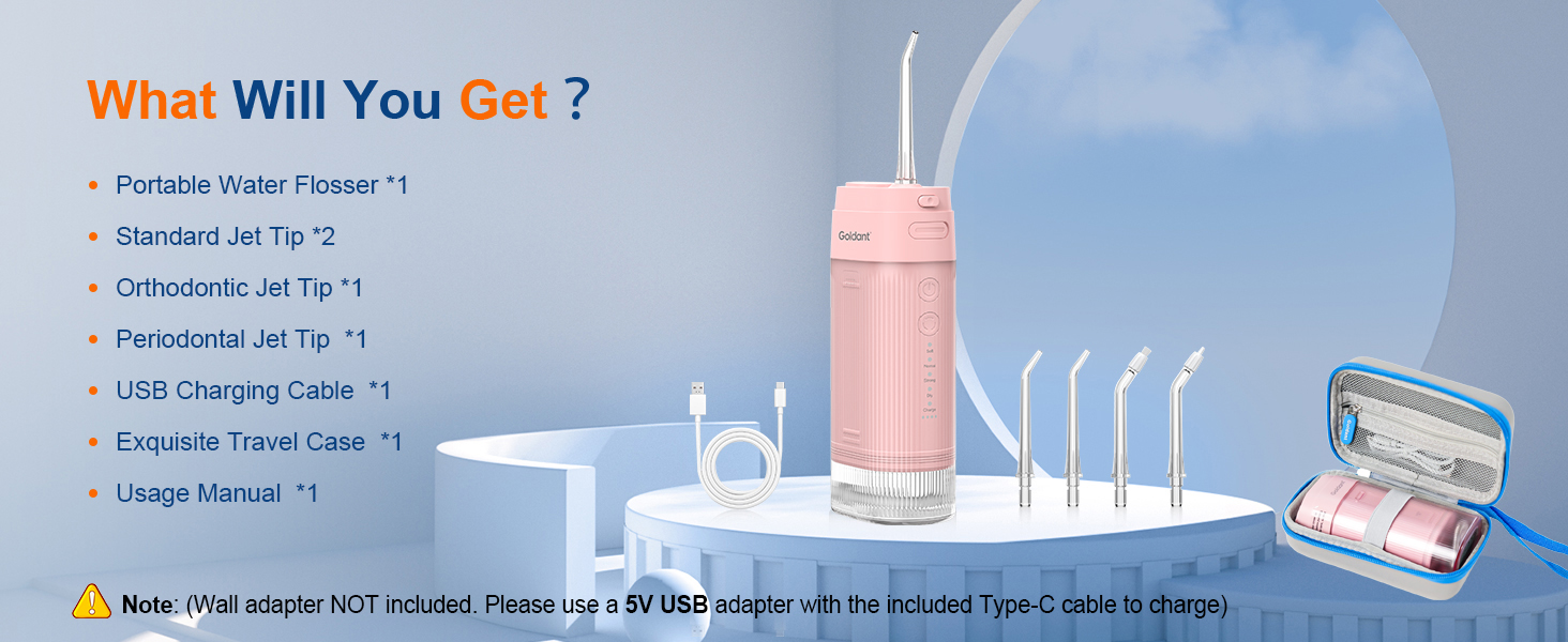 portable mini water flosser with exquisite travel case