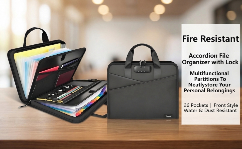 Accordion File Organizer with Lock