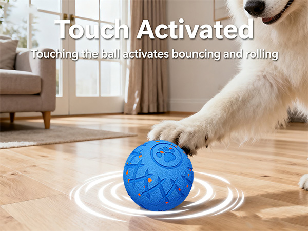 dog ball