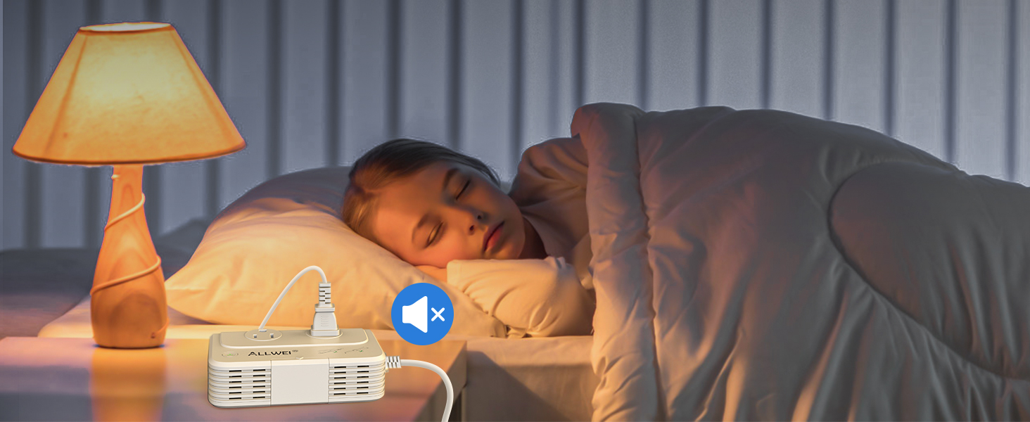 ALLWEI International Travel Adapter 220V to 110V Power Voltage Converter