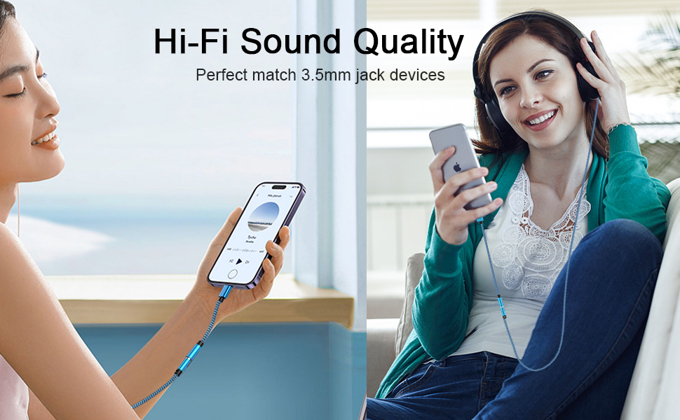 aux lightning adapter