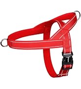 rabbitgoo Dog Harness No Pull,Quick fit for Large Dogs with Soft Padded Handle, Chest Adjustable ...