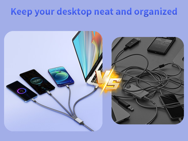 Dual Type-C Multiple Charger Cable