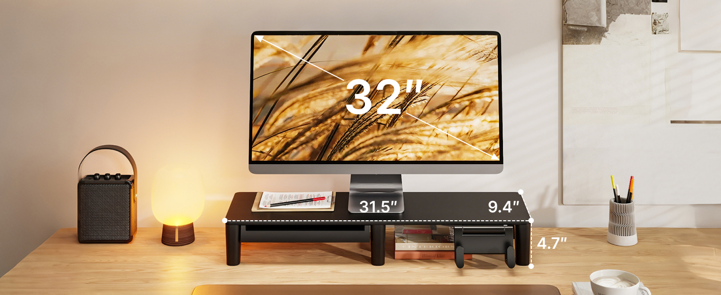monitor riser