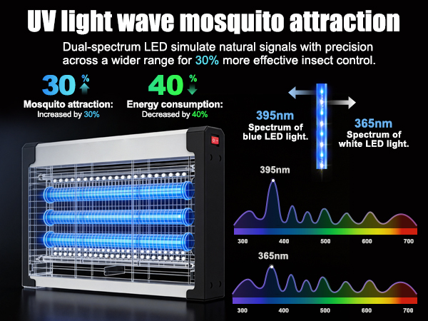 Gnat Killer