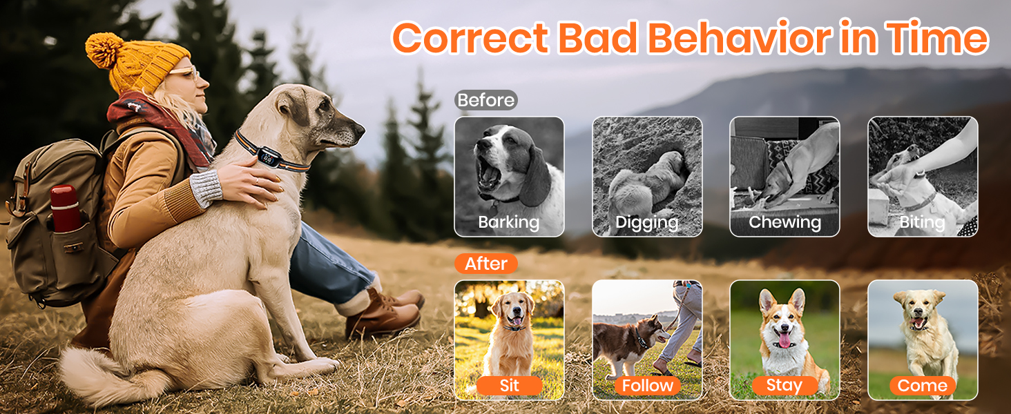 dog collar training bark collar for dogs bark and training collar combo shock collar dog