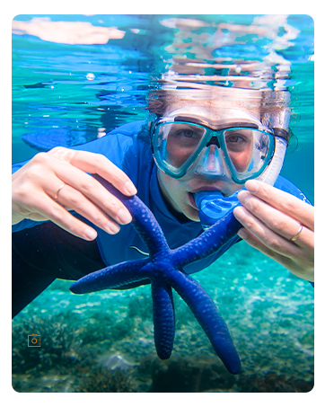 Waterproof Phone Pouch