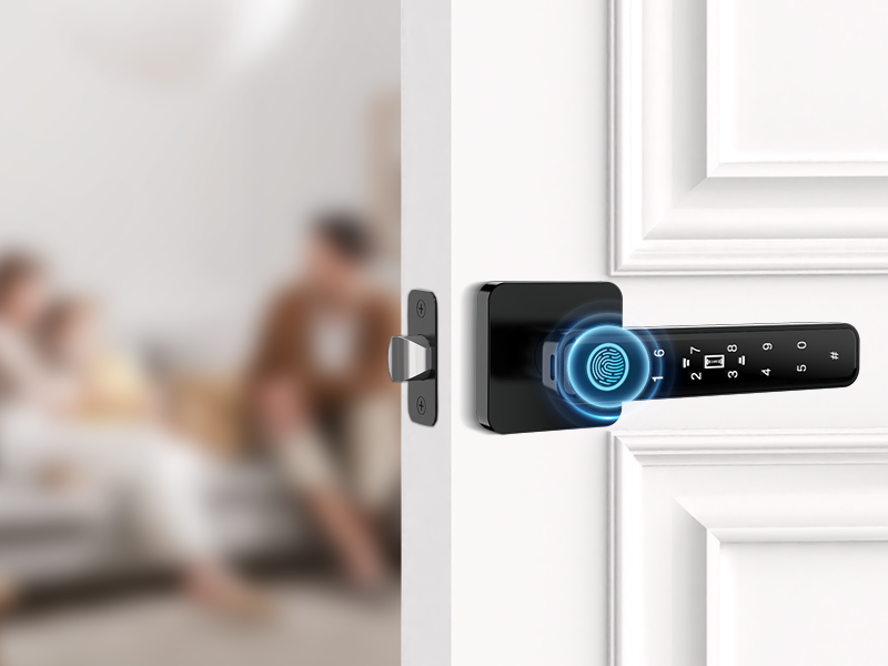 home security door lock